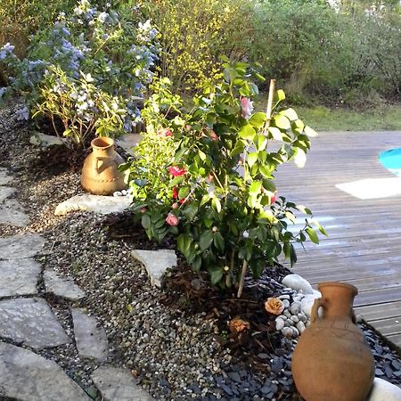 Villa Mogador Piscine Et Balneo Andernos-les-Bains Εξωτερικό φωτογραφία