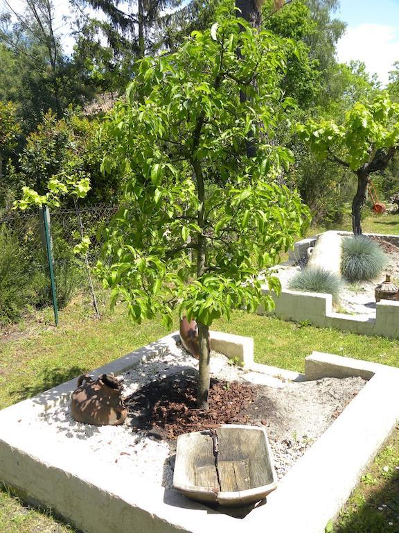 Villa Mogador Piscine Et Balneo Andernos-les-Bains Εξωτερικό φωτογραφία