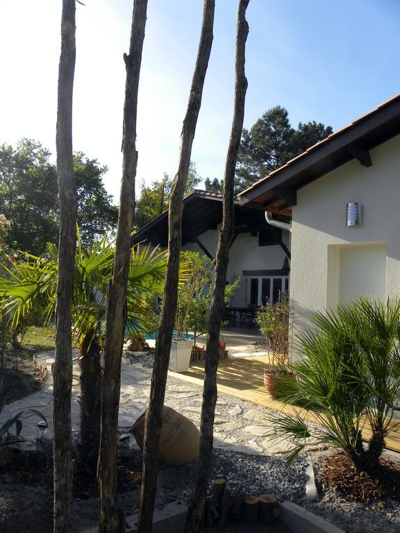 Villa Mogador Piscine Et Balneo Andernos-les-Bains Εξωτερικό φωτογραφία