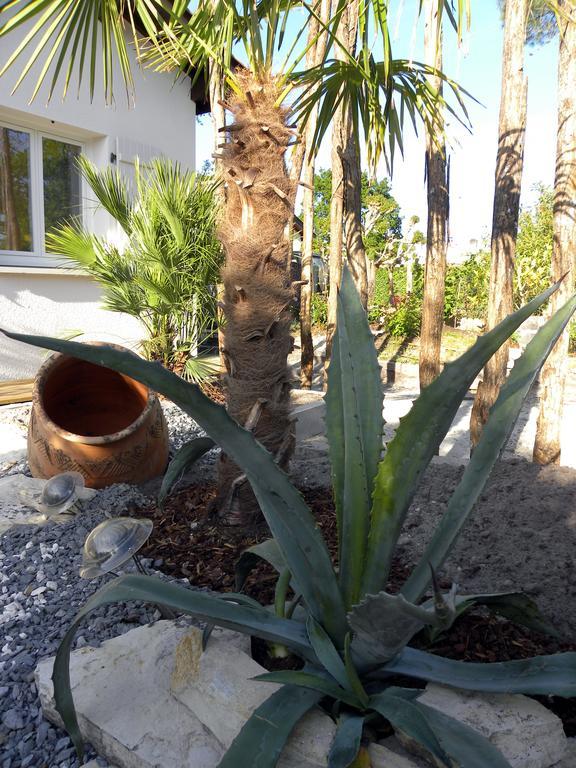 Villa Mogador Piscine Et Balneo Andernos-les-Bains Εξωτερικό φωτογραφία